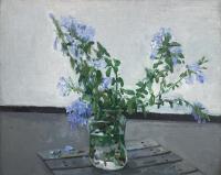 Plumbago on a folding chair